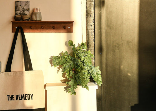 Why Smaller is Better: The Value of Buying from Small Batch Brands