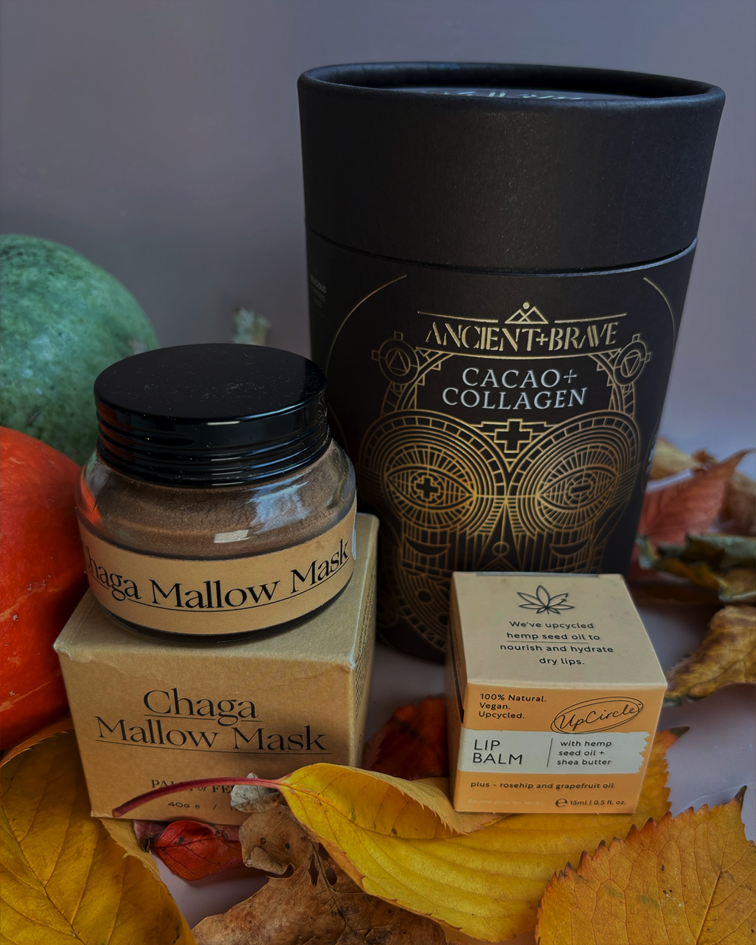 Cacao Glow